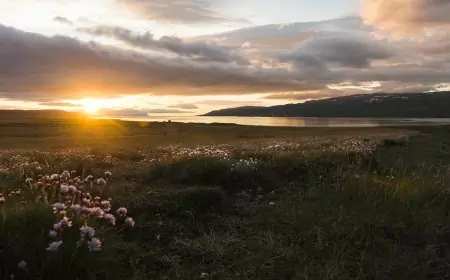 When is the summer solstice? When is the winter solstice?